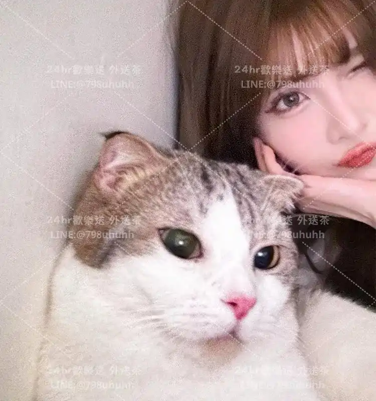 舒曼